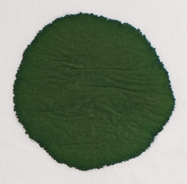 Noodler's Army Green chromatografia1