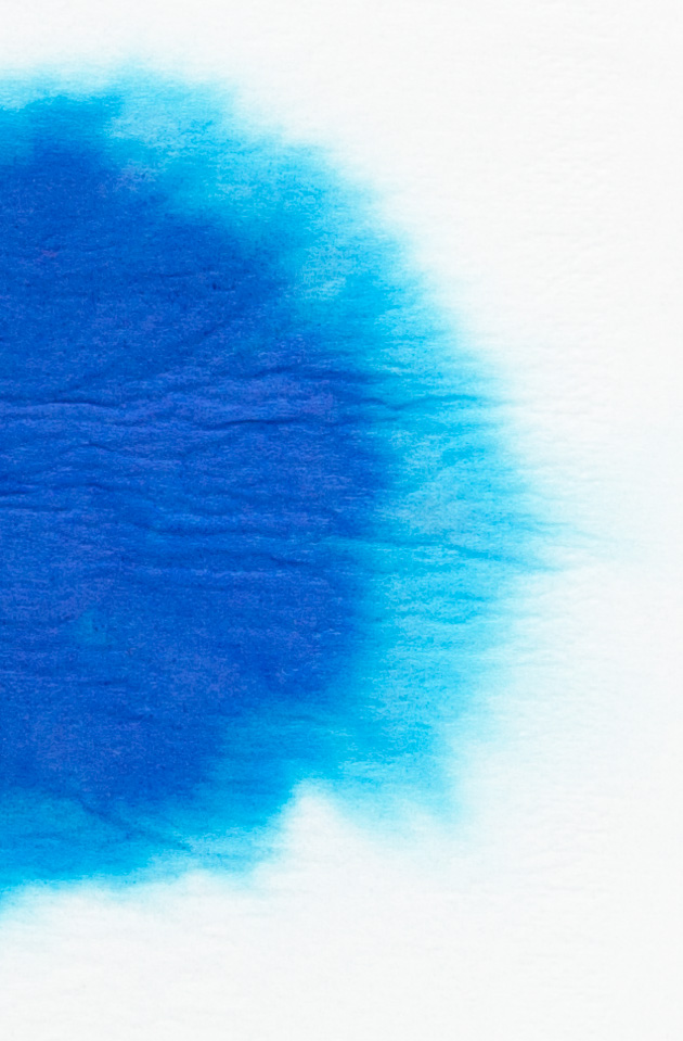 Diamine-Kensington-Blue-chromatografia2