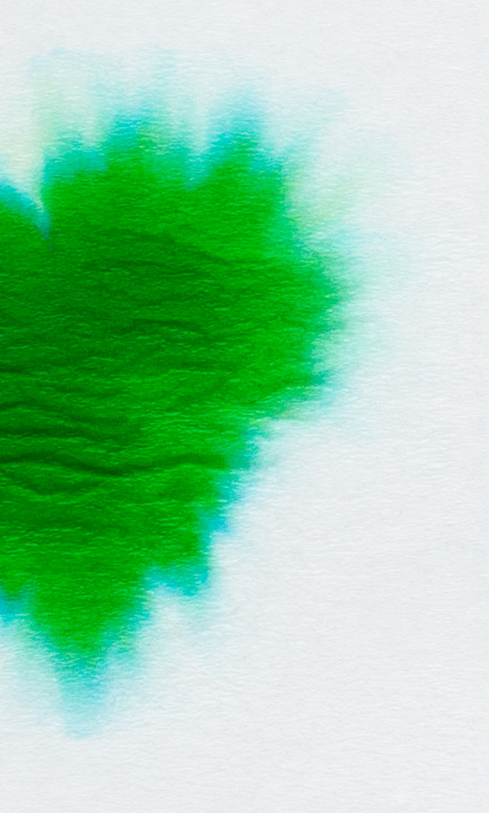 KWZ-Ink-Green-#5-chromatografia2