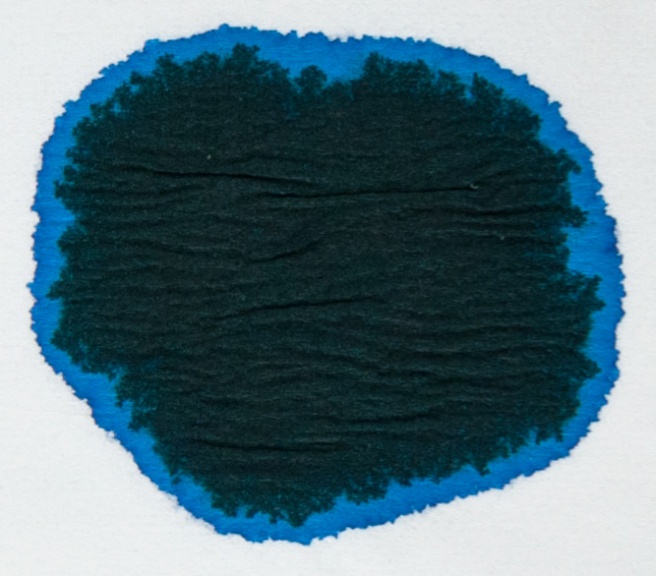 Noodler's-Air-Corp-Blue-Black-chromatografia1