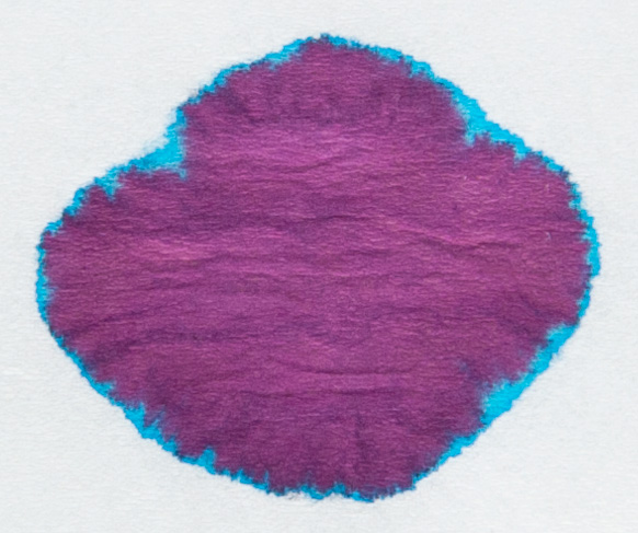 Robert-Oster-Signature-Viola-chromatografia1