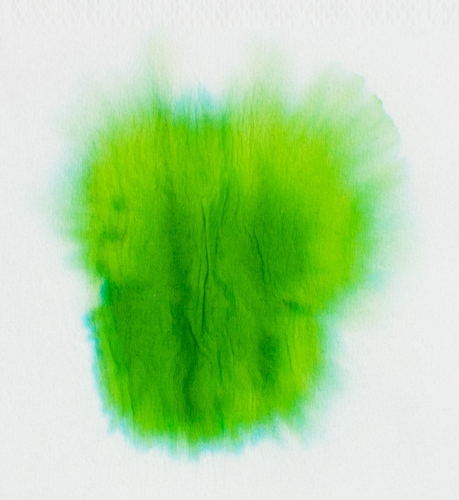 P.W.-Akkerman-Nr-28-Hofkwartier-Groen-chromatografia2